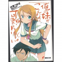 二手日語原文書 我的妹妹哪有那麼可愛 02 日語學習 (俺の妹がこんなに可愛いわけがない（２）)