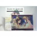 二手 純日版 SONY PS3 皇冠之淚 2 霸王的末裔 限定版