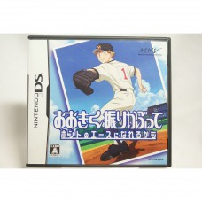 二手 純日版 任天堂 DS NDS 王牌投手-振臂高揮 或許能成為真正王牌