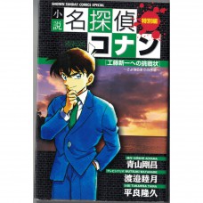 二手日語原文書 小說名偵探小說柯南特別篇：給工藤新一的挑戰書 青山剛昌, 渡邊睦月, 平良隆久 日語學習 含稅附 (小説 名探偵コナン 工藤新一への挑戦状)