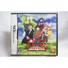 二手 純日版 任天堂 DS NDS 勇者故事：我的記憶與願望