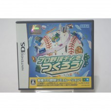 二手 純日版 任天堂 DS NDS 模擬職棒