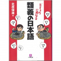 二手日語原文書 類義的日本語：微妙的差異 北原保雄 日語學習 (類義の日本語 : ビミョウに異なる)