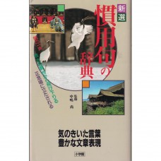 二手日語原文書 新選慣用句辭典 風趣的用詞和豐富的文章表現 中嶋尚 日語學習 (新選慣用句の辞典 : 気のきいた言葉豊かな文章表現)