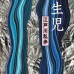 二手日語原文書 雙胞胎 江戶川亂步 日語學習 (双生児)