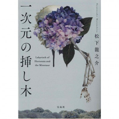 二手日語原文書 繡球花之下 松下龍之介 日語學習 (一次元の挿し木)