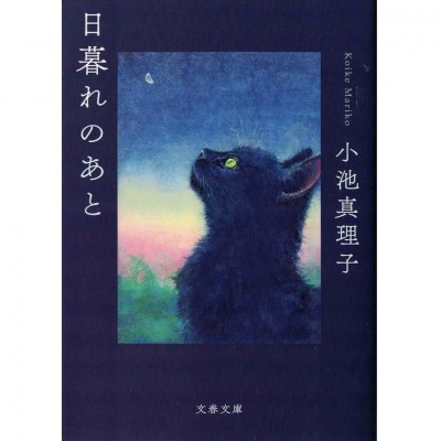 二手日語原文書 日暮れのあと 小池真理子 日語學習 (日暮れのあと)